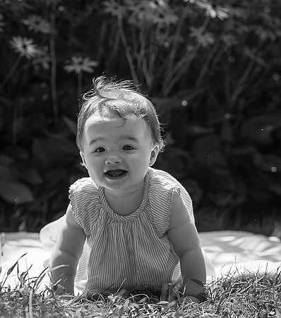 DanielPhotoPro