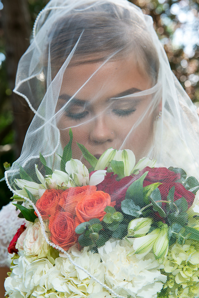 DanielPhotoPro