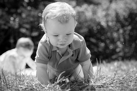 DanielPhotoPro
